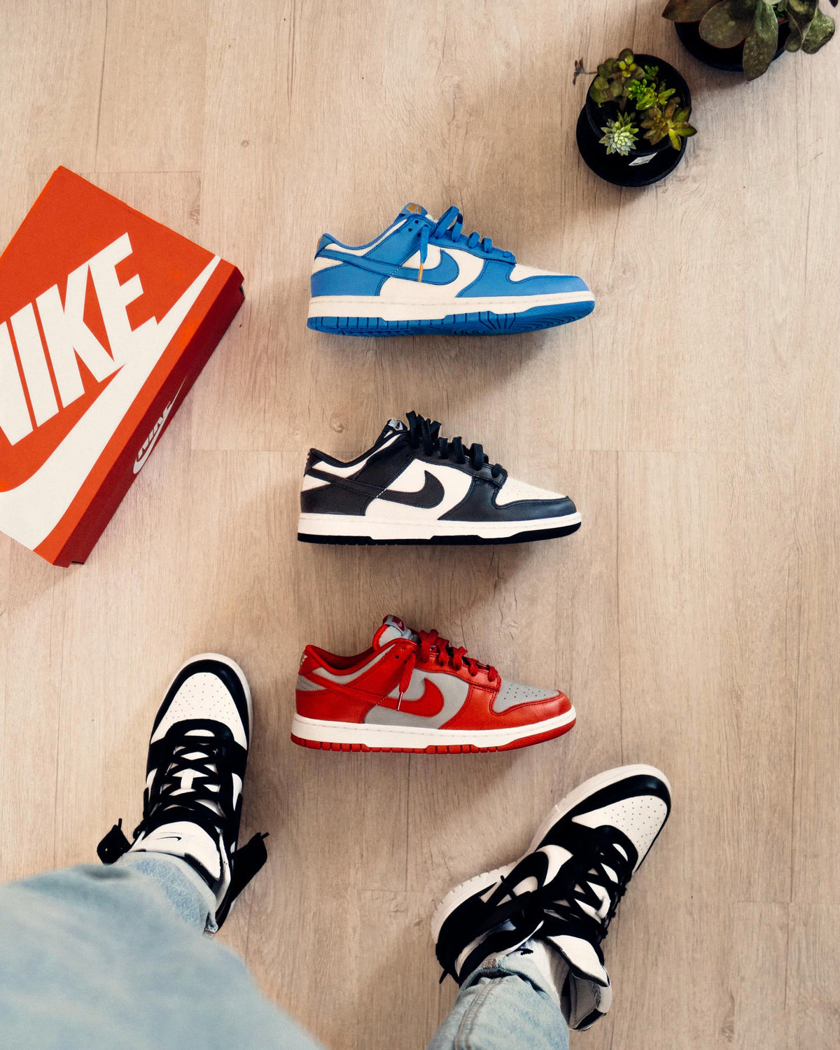 Nike SB Dunk Low